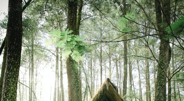 Embarking on an Epic Adventure through Asia