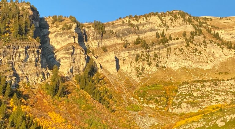 On the Road Again：Epic Adventures across the Americas