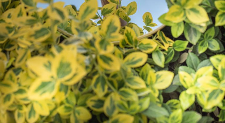 A Budget Guide to Exploring Europe