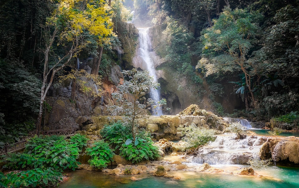 Fiji's Jungle Zip Lining