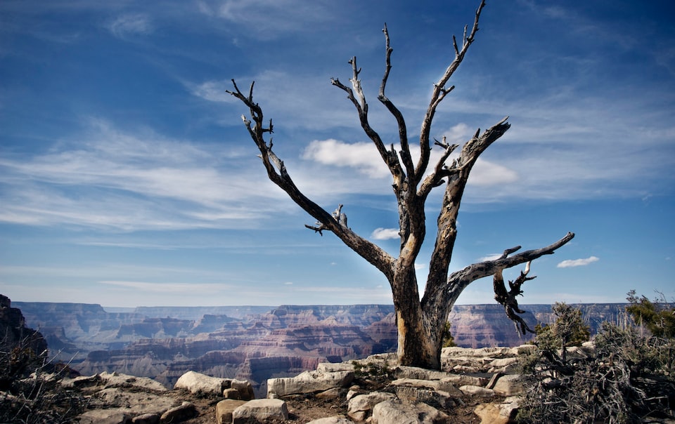 Grand Canyon