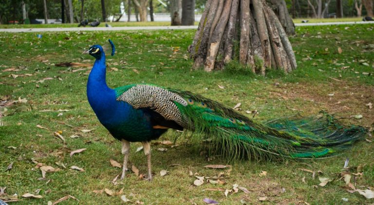 A Culinary Journey Through Oceania’s Food and Travel Treasures