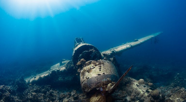 Embark on an Exciting Oceania Adventure