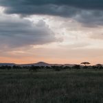 serengeti-national-park.jpg